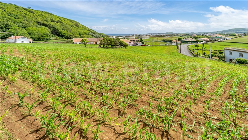 Terreno Rústico  Praia da Vitória, Praia da Vitória (Santa Cruz) - 1412553 - 5