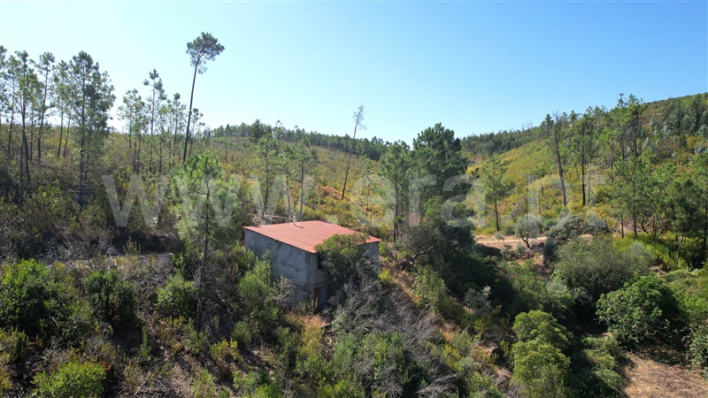 Quintinha  Proença-a-Nova, Alvito da Beira - 1429523 - 17