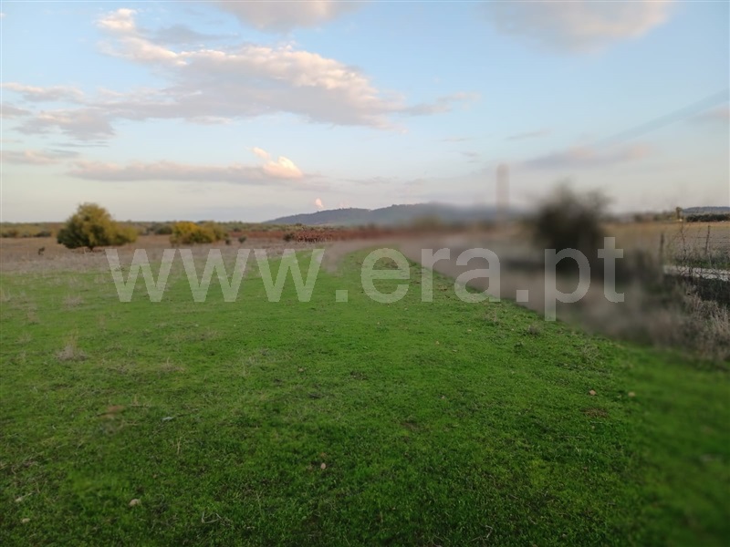 Terreno Rústico  Reguengos de Monsaraz, Monsaraz - 1442760 - 2