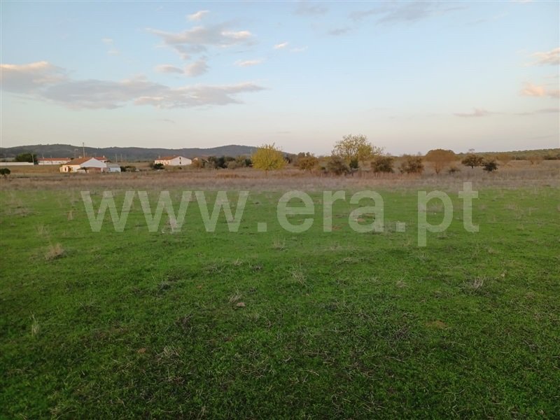 Terreno Rústico  Reguengos de Monsaraz, Monsaraz - 1442760 - 4