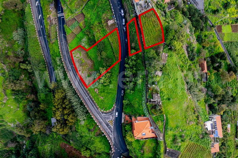 Terreno Rústico  Ribeira Brava, Campanário - 1446833 - 2