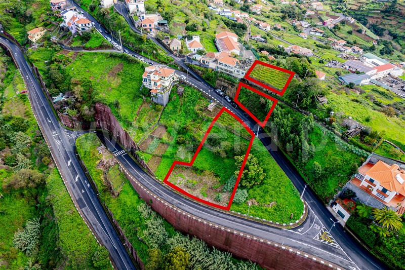 Terreno Rústico  Ribeira Brava, Campanário - 1446833 - 3
