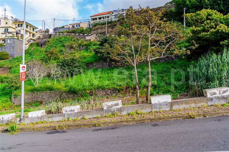 Terreno Rústico / Ribeira Brava, Campanário