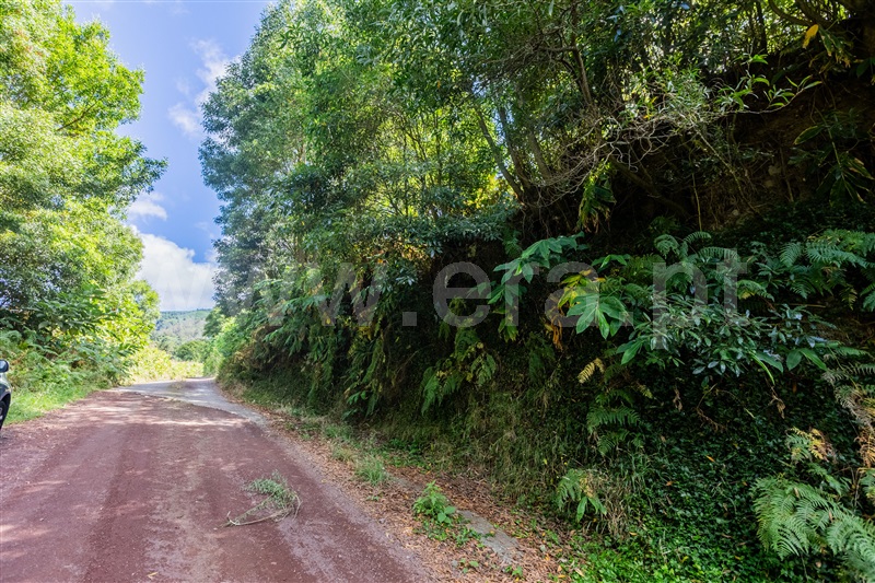 Terreno Rústico  Ribeira Grande, Ribeira Seca - 1499301 - 13