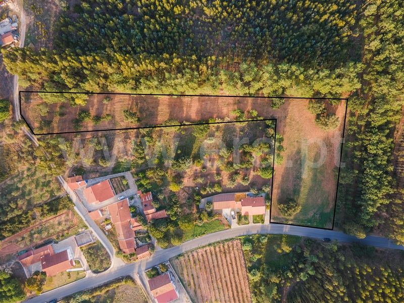 Terreno Rústico  com Rústico Rio Maior, Alcobertas - 1359786 - 2