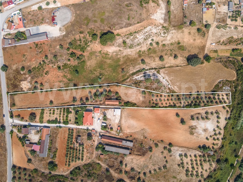 Terreno Rústico / Rio Maior, Malaqueijo