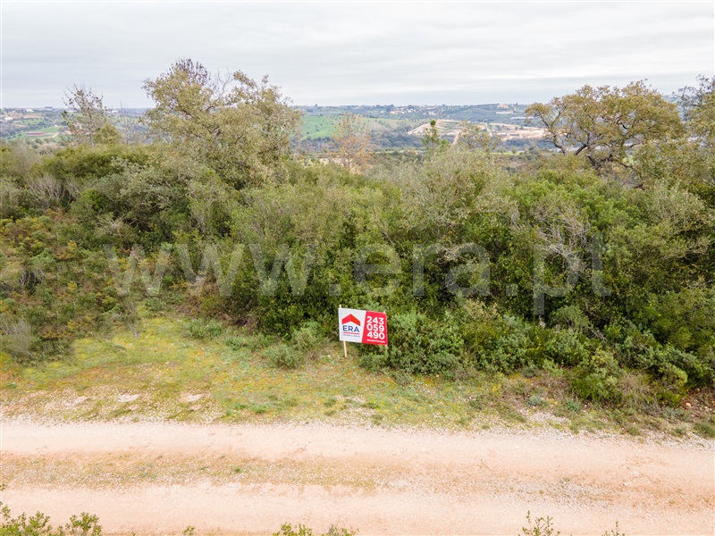 Terreno Rústico  com Agrícola Rio Maior, Malaqueijo - 1289425 - 5