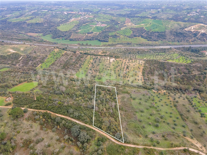 Terreno Rústico  com Agrícola Rio Maior, Malaqueijo - 1289425 - 6