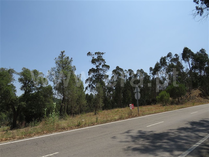 Terreno Rústico  Rio Maior, Outeiro da Cortiçada e Arruda dos Pisões - 1187155 - 4