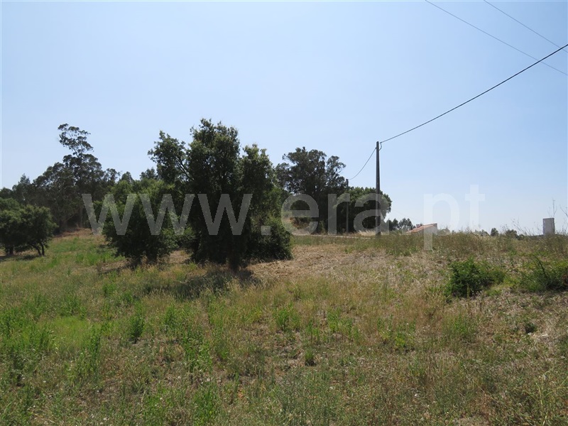 Terreno Rústico  Rio Maior, Outeiro da Cortiçada e Arruda dos Pisões - 1187155 - 7
