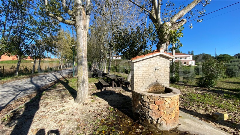 Terreno Rústico  Rio Maior, Ribeira de S. Joao - 1290978 - 5