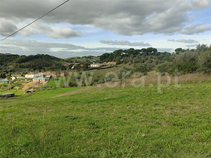 Terreno Rústico / Rio Maior, São João da Ribeira e Ribeira de São João