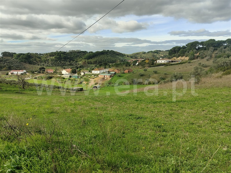 Terreno Rústico  Rio Maior, São João da Ribeira e Ribeira de São João - 1448944 - 2