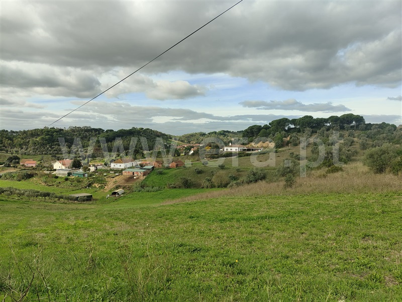 Terreno Rústico  Rio Maior, São João da Ribeira e Ribeira de São João - 1448944 - 6