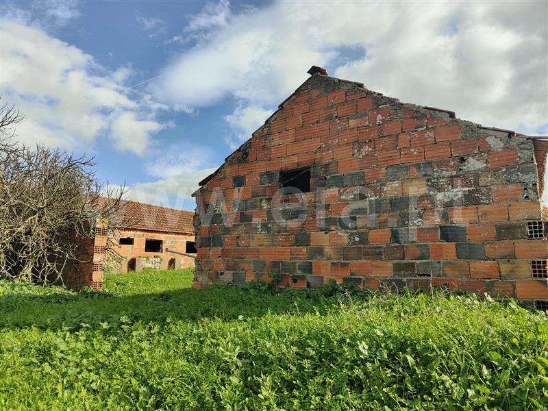 Terreno Rústico  Rio Maior, São João da Ribeira e Ribeira de São João - 1448944 - 9