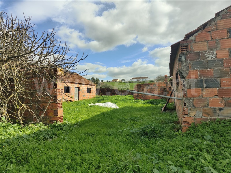 Terreno Rústico  Rio Maior, São João da Ribeira e Ribeira de São João - 1448944 - 10