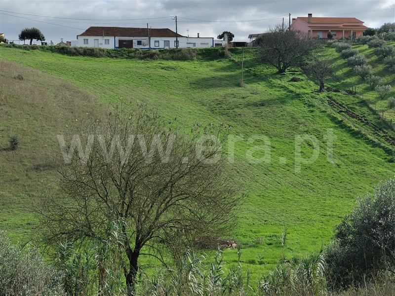 Terreno Rústico  Rio Maior, São João da Ribeira e Ribeira de São João - 1448944 - 20