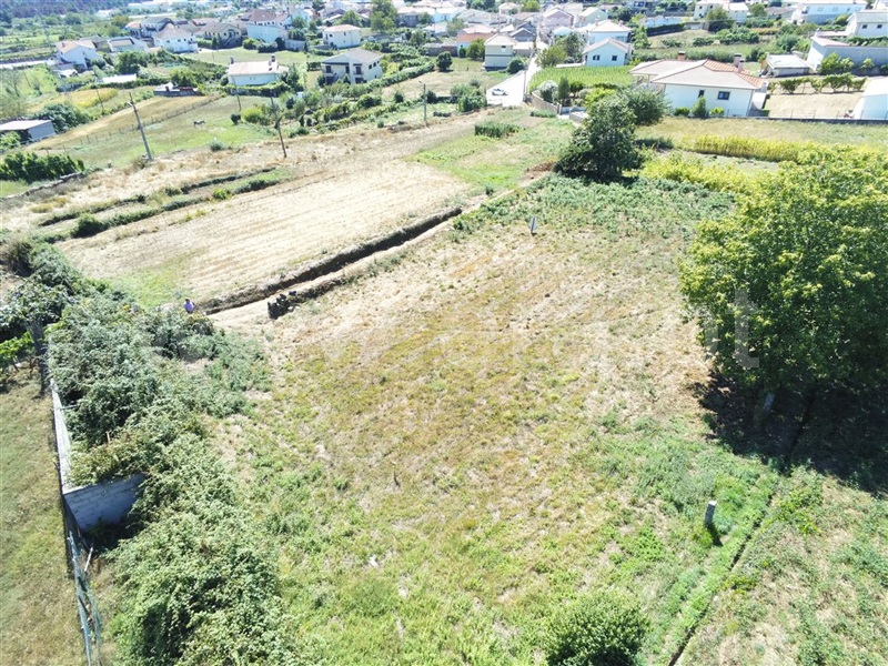 Terreno Rústico  Sabrosa, São Martinho de Antas e Paradela de Guiães - 1110743 - 6