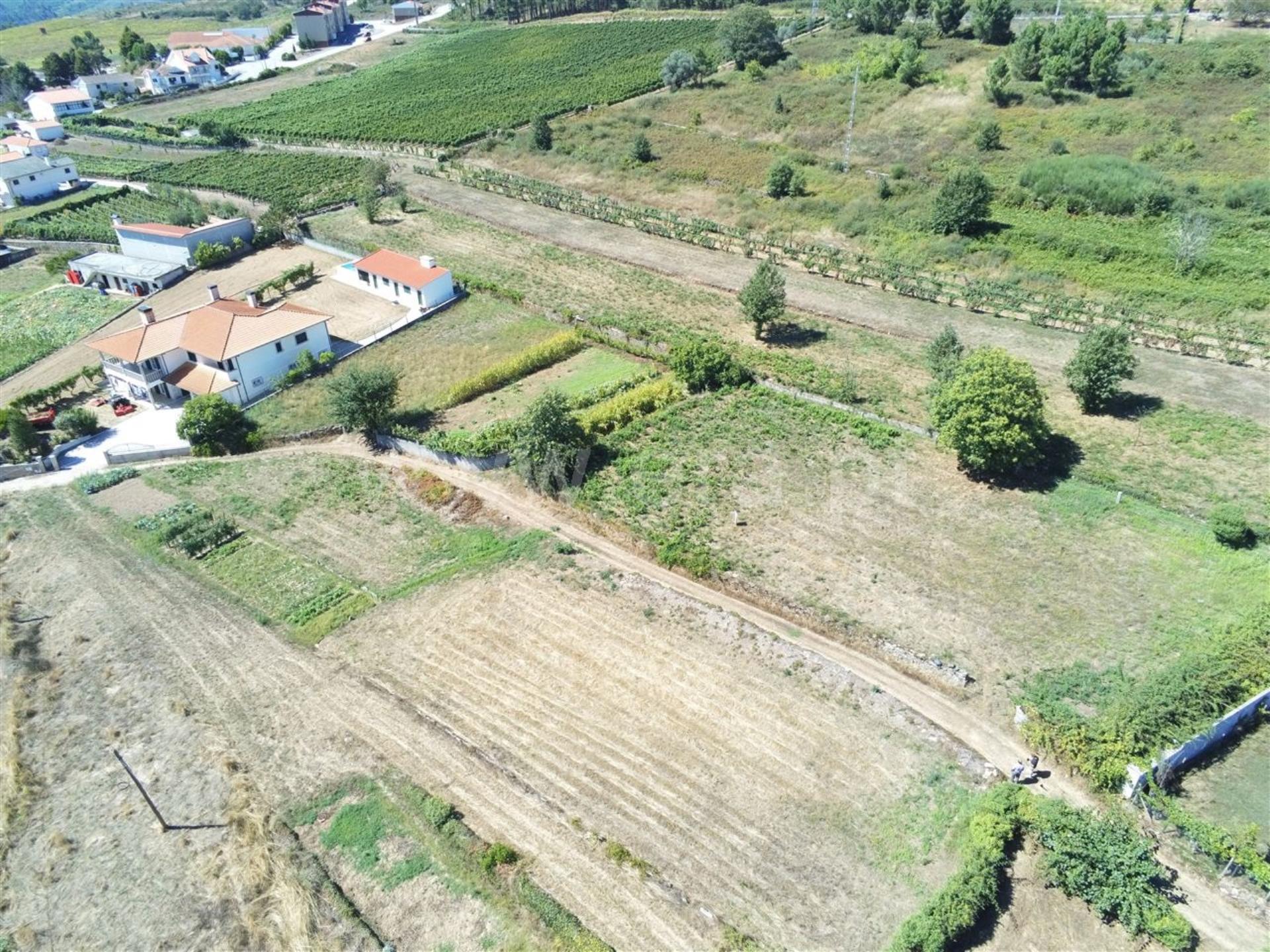 Terreno em Sabrosa