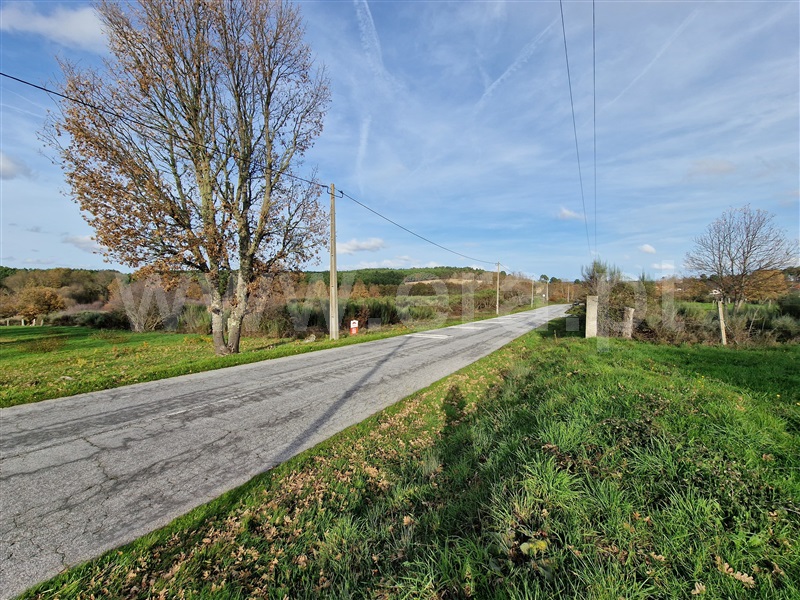 Terreno Rústico  Sabugal, Aldeia de Santo António, Sabugal - 1445916 - 3