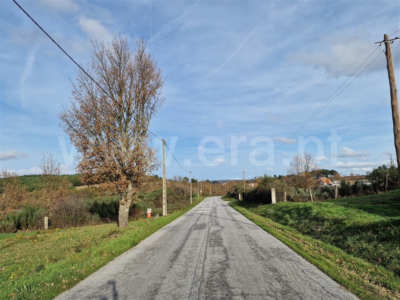 Terreno Rústico  Sabugal, Aldeia de Santo António, Sabugal - 1445916 - 4