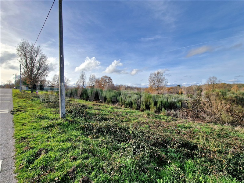 Terreno Rústico  Sabugal, Aldeia de Santo António, Sabugal - 1445916 - 6