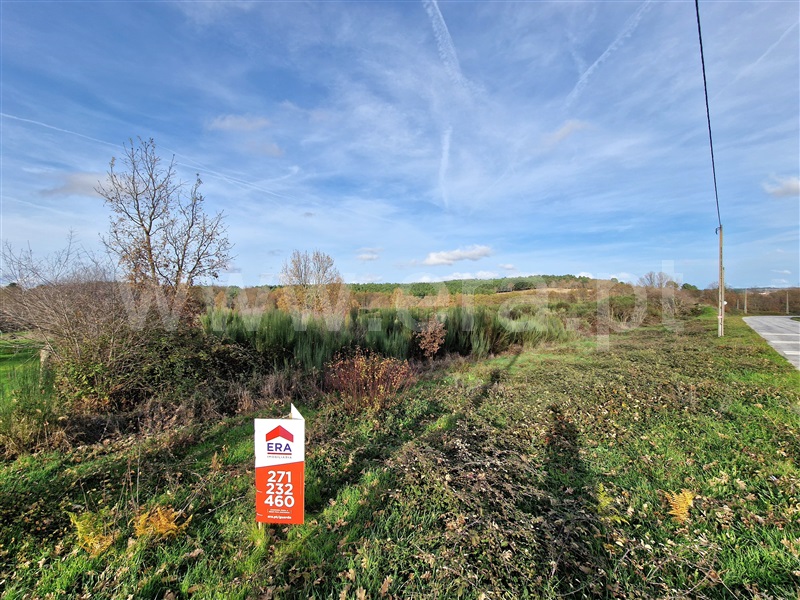 Terreno Rústico  Sabugal, Aldeia de Santo António, Sabugal - 1445916 - 10