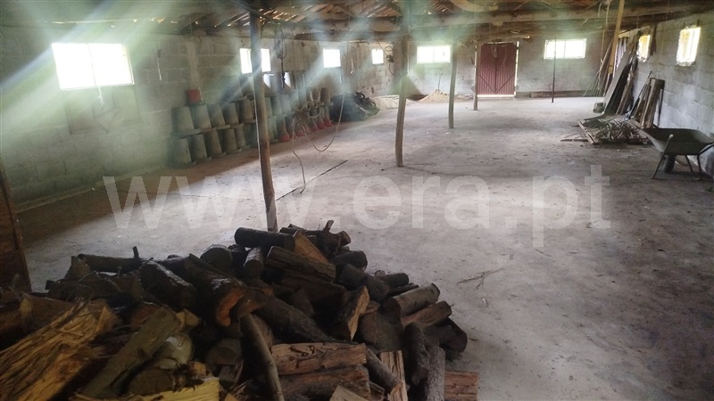 Terreno Rústico  Santa Comba Dão, Treixedo e Nagozela - 1495389 - 4
