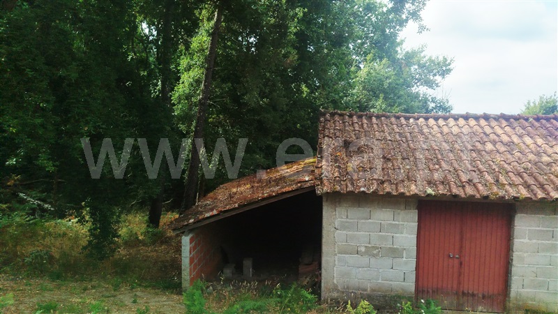 Terreno Rústico  Santa Comba Dão, Treixedo e Nagozela - 1495389 - 3