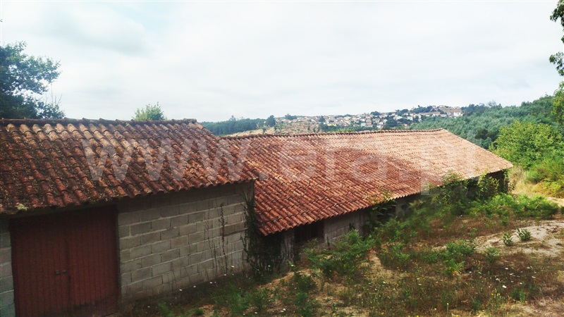 Terreno Rústico / Santa Comba Dão, Treixedo e Nagozela