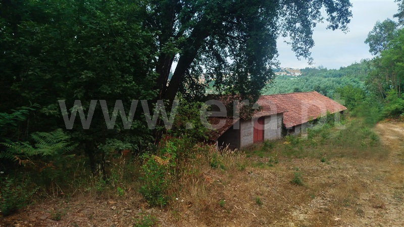 Terreno Rústico  Santa Comba Dão, Treixedo e Nagozela - 1495389 - 6