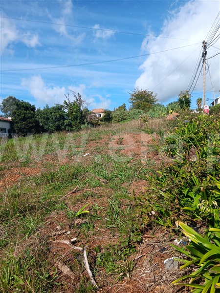 Terreno Rústico / Santa Cruz, Camacha