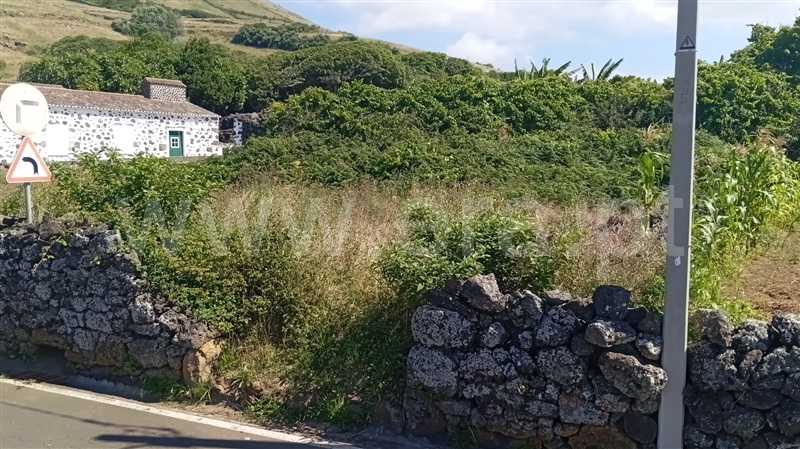 Terreno Rústico  Santa Cruz da Graciosa, Luz - 1484334 - 13