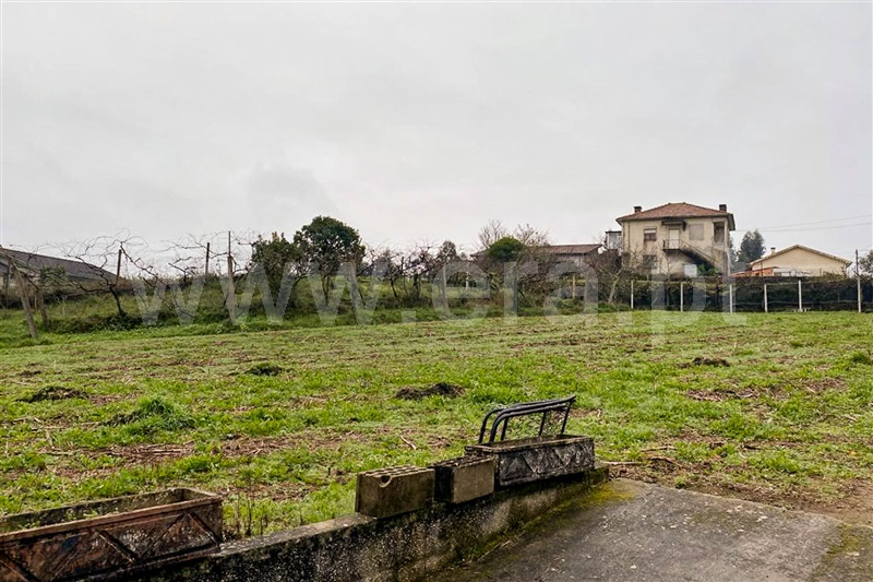 Terreno Rústico  Santa Maria da Feira, Argoncilhe - 1494858 - 4