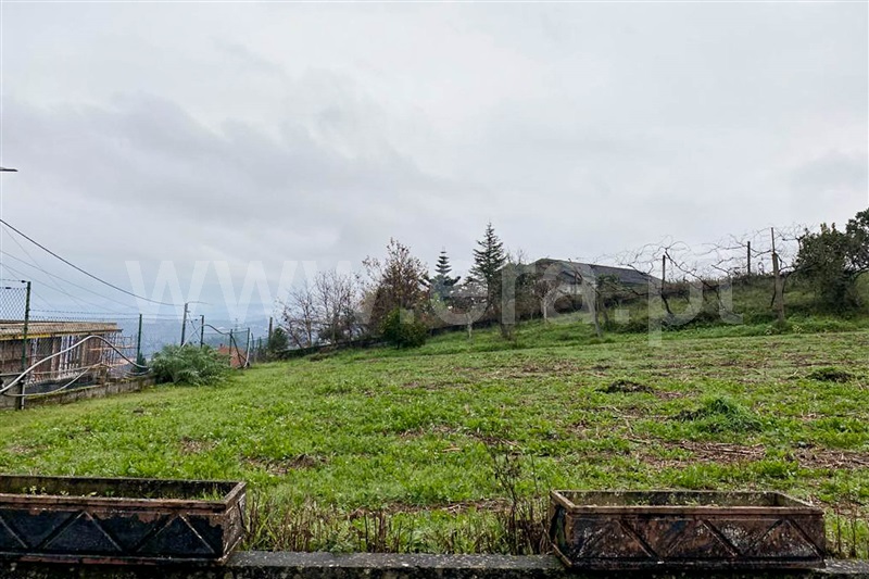Terreno Rústico  Santa Maria da Feira, Argoncilhe - 1494869 - 5
