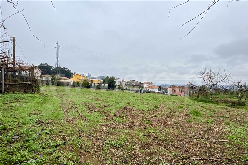 Terreno Rústico  Santa Maria da Feira, Argoncilhe - 1494869 - 11