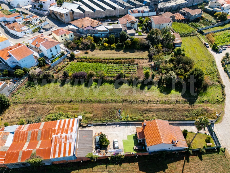 Terreno Rústico  Santa Maria da Feira, Lourosa - 1507487 - 4