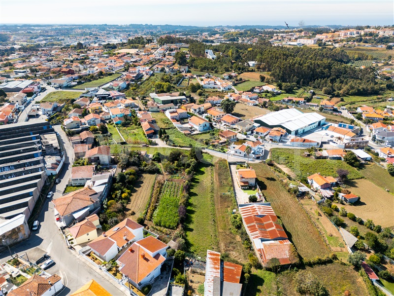 Terreno Rústico  Santa Maria da Feira, Lourosa - 1507487 - 6