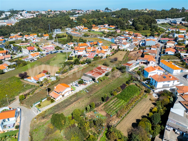 Terreno Rústico  Santa Maria da Feira, Lourosa - 1507487 - 9