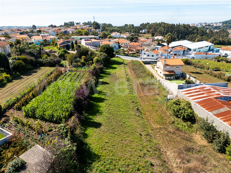 Terreno Rústico  Santa Maria da Feira, Lourosa - 1507487 - 11