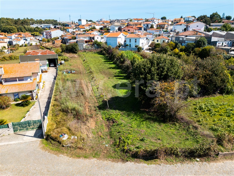 Terreno Rústico  Santa Maria da Feira, Lourosa - 1507487 - 12