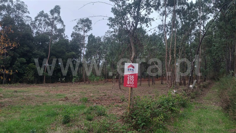 Terreno Rústico / Santa Maria da Feira, São João de Ver