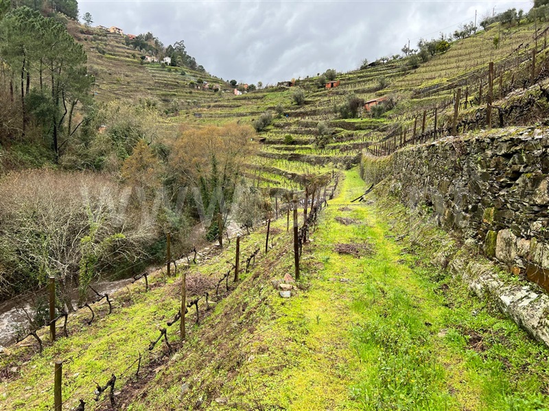 Terreno Rústico / Santa Marta de Penaguião, Louredo e Fornelos