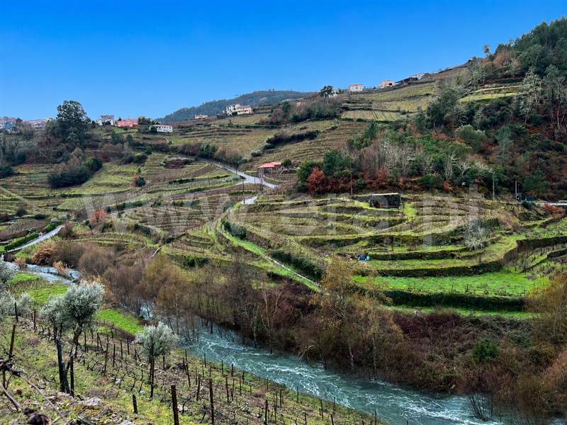 Terreno Rústico / Santa Marta de Penaguião, Louredo e Fornelos