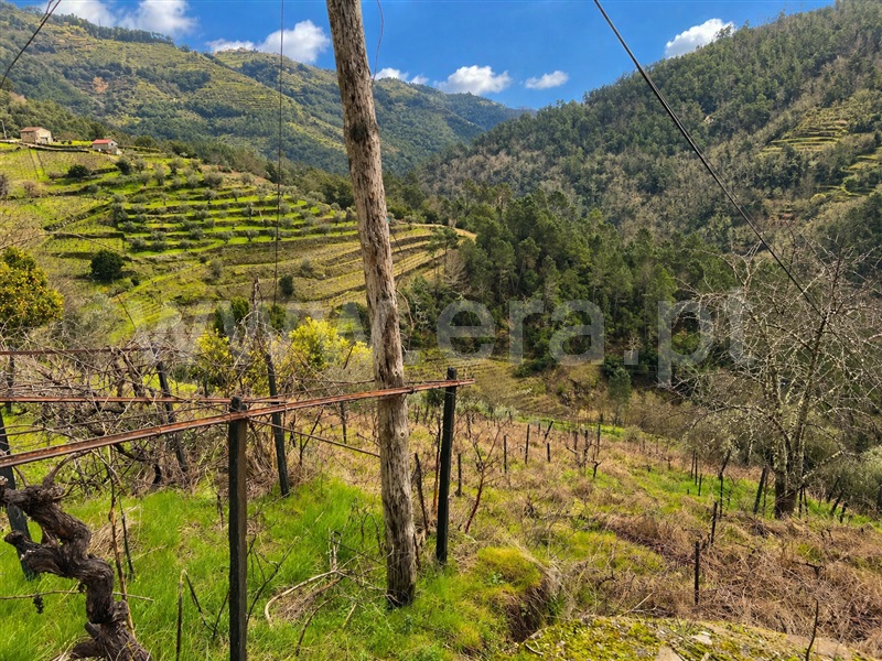 Terreno Rústico / Santa Marta de Penaguião, Louredo e Fornelos