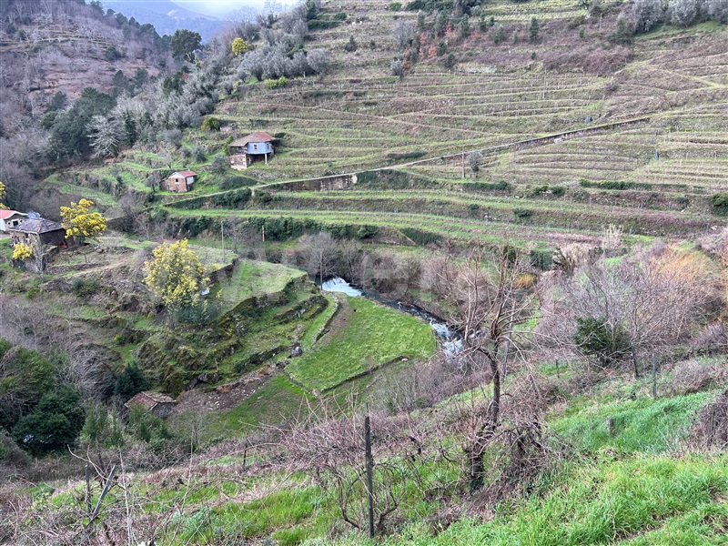 Terreno Rústico / Santa Marta de Penaguião, Louredo e Fornelos