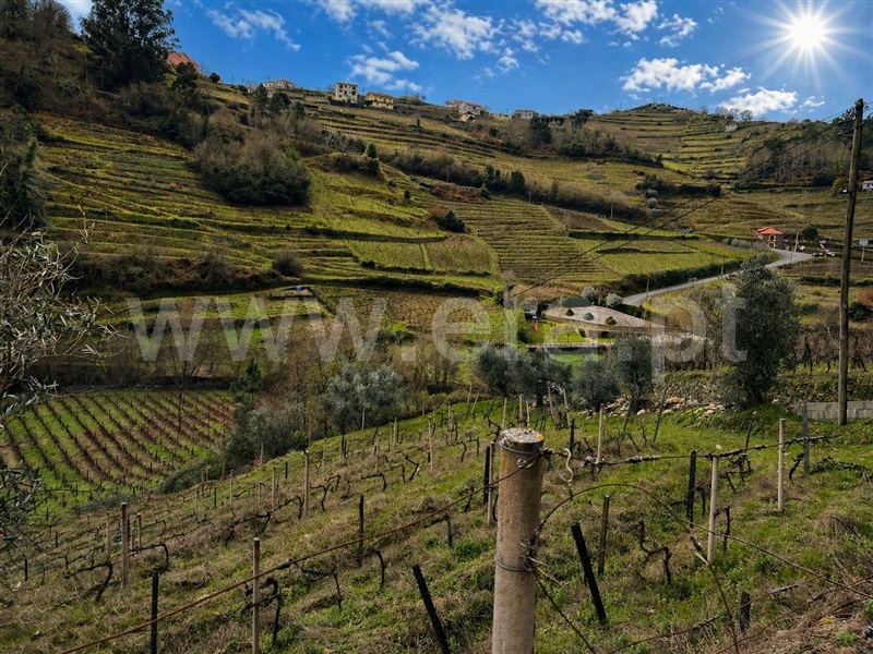Terreno Rústico / Santa Marta de Penaguião, Louredo e Fornelos