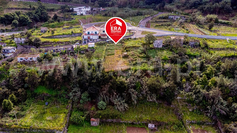 Terreno Rústico  com Vista Mar Santana, Arco de São Jorge - 1383437 - 9