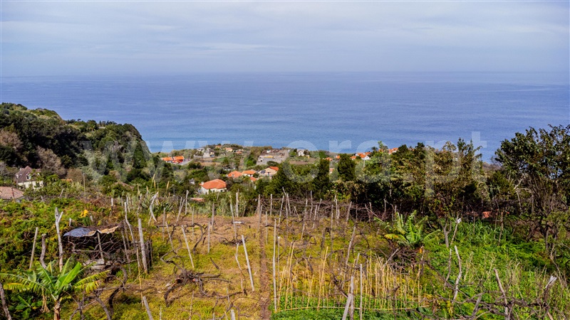 Terreno Rústico  com Vista Mar Santana, Arco de São Jorge - 1383437 - 10