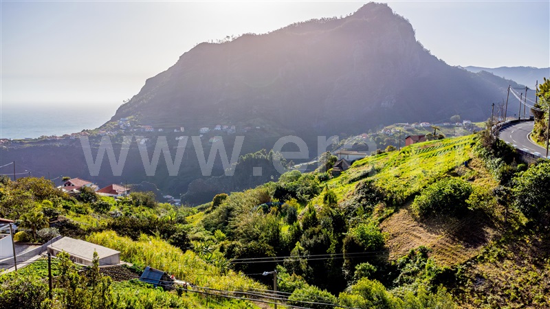Terreno Rústico  com Vista Mar Santana, Faial - 1387293 - 5